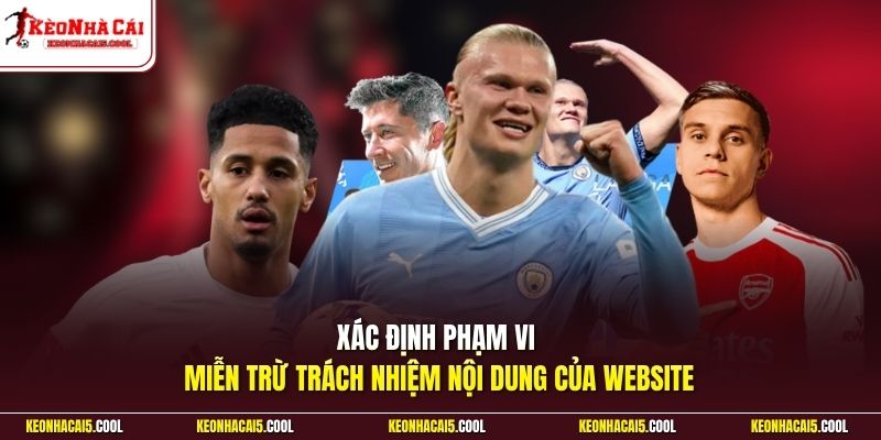 Xác định phạm vi miễn trừ trách nhiệm  nội dung của website