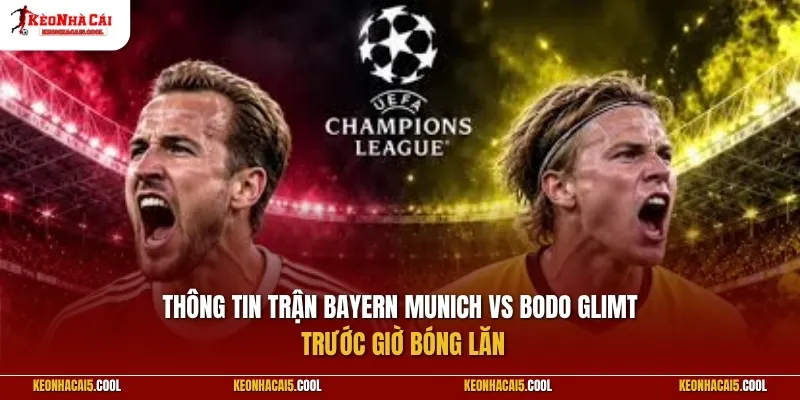 Thông tin trận Bayern Munich vs Bodo Glimt trước giờ bóng lăn